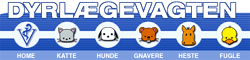 DL_logo2