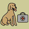 Hundens førstehjælpskasse, Dyrlægevagten