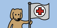 Hund - førstehjælp