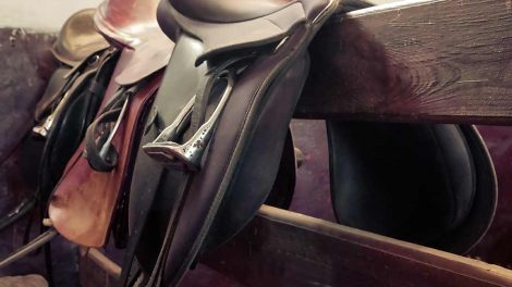 Brandsår Heste førstehjælp