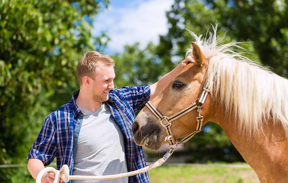 Dyreværnslov Heste generelt