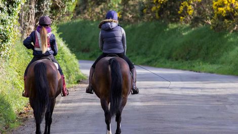 Operation Heste generelt