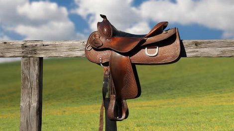 Hornkløft Heste sygdomme