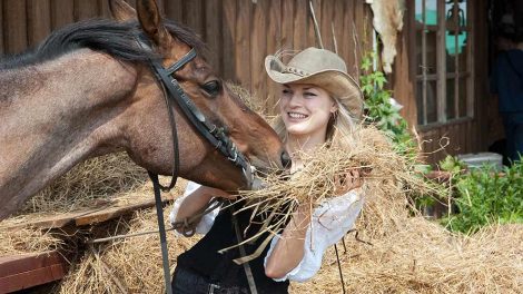 Fedtlever Heste sygdomme